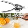 Presse-agrumes Manuel Ø 7 cm En Acier Inoxydable